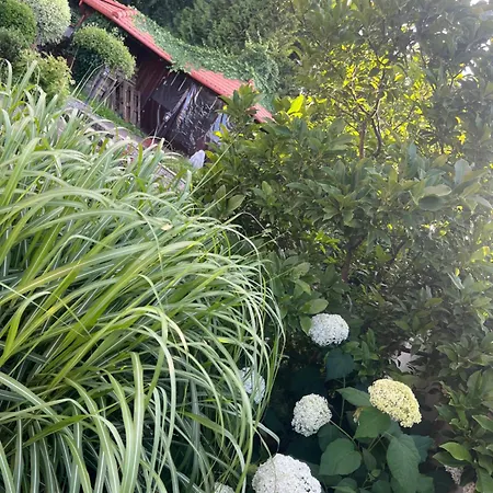 Oliwa Villa *